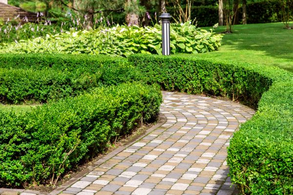 Paved Landscaping in Anacortes