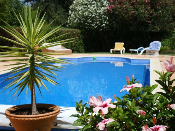 Pool Terrace Renovation in Anacortes
